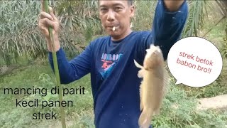 gak nyangka!! mancing di parit kecil begini bisa panen strek, banyak ikan keting dan betok.