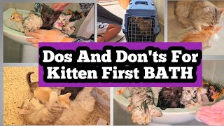 My Kittens First Bath and Loud Meow - How to give Bath to newborn Kittens- DON'T MAKE THESE MISTAKES