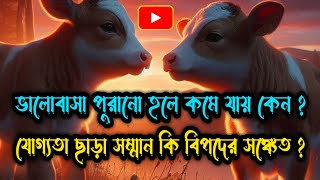 দুটি সুন্দর গল্প | ভালোবাসা পুরানো হলে কমে যায় কেন? যোগ্যতা ছাড়া সম্মান বিপদের সঙ্কেত?  #banglagolpo