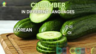 Cucumbers | Kheera | खीरा | 오이 | 黄瓜Huángguā | khiar خيار