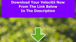 Velocitii Review - The Best Velocitii Bonus - Access Velocitii Now