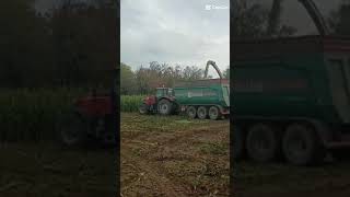 Massey Ferguson 7624 Dyna + Bossini | Silage