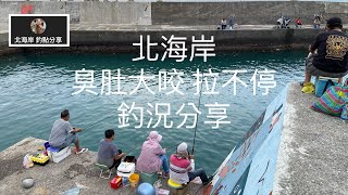 [北海岸釣點分享]  北海岸 臭肚大咬 拉不停 趕快來   三芝石門金山 在地人的釣魚秘境！！ 記得 訂閱 才能收到第一手釣況資訊 謝謝！！