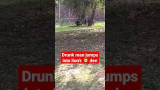 Drunk man jumps into lion's den #lion #wild #shorts #trending