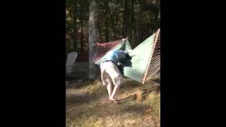 Cow and hammock