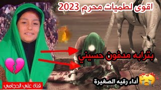 اقوى لطميات حماسية للمشاية 2023 رقيه الصغيرة بترابه مدفون حسيني لطميات محرم 2023 أجمل لطميات للمشايه