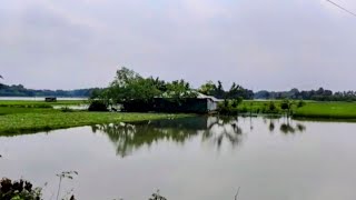 শুকনো ডাঙ্গার মানুষ কেন বৃষ্টির পানিতে আটকা পড়ে || Dry Danga people trapped in rain water why.