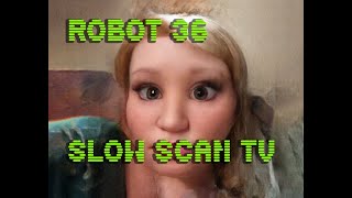 0060 Toonify SSTV Robot36