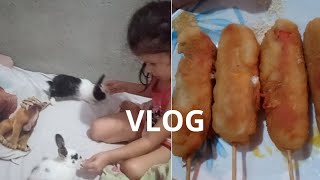 VLOG compramos três coelhos