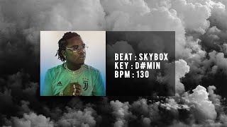 Gunna Type Beat "SKYBOX" | Guitar Trap Instrumental 2020 (Ft. Young Thug)