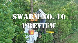 Swarm No. 10 Preview | May 26, 2024 | #colesfarmnc #jacksonvillenc #beekeeping