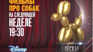 Disney Channel Russia promo - DOGscar award week