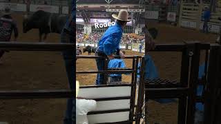 Rodeo, Texas, USA, подробнее https://youtu.be/s7hJASmhbZM?si=gnH1X9l3eFptyrZs