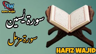 Surah Yaseen | Surah Muzammil | Quran Tilawat| Quran Recitation