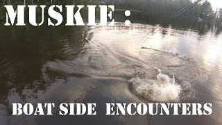 Muskie Fishing: Boat Side Encounters