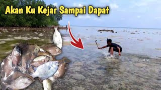 Memburu Ikan Yang Terperangkap Saat Air Laut Surut