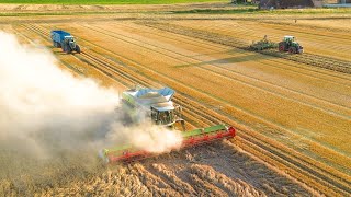 🌾NOUVEAU FENDT 728 aux Moissons d'orges XXL en 12m suivi d'un FENDT 942 et de son déchaumeur