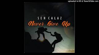 Seh Calaz - Never Give Up (Single) July 2021 Zimdancehall