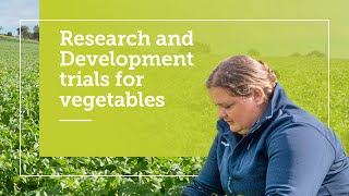 Research and Development trials for vegetables | Fruitfed Supplies