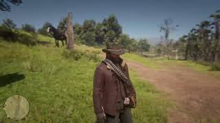 Replaying Red Dead Redemption 2 Campaign! (Chapter 3)