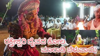 ರಕ್ತೇಶ್ವರಿ ದೈವದ ಕೋಲ(ಮಾಲಡಿ ಸಿರಿ ಜಾತ್ರೆ)ಬೆಳುವಾಯಿ#rakteshwarikola#daivaradhane#maaladisirijatre#belvai