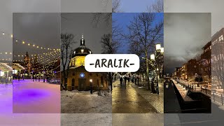 ARALIK VLOG