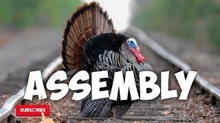 Turkey Hunting Call - Hen Assembly - Free Download