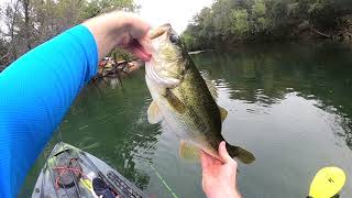 Slayin Them Back in Barton - So Many 4 Pounders (Lady Bird Lake)