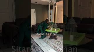 Beautiful Reema Khan #shorts #shortvideo #youtubeshorts