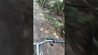 trilhas de bicicletas