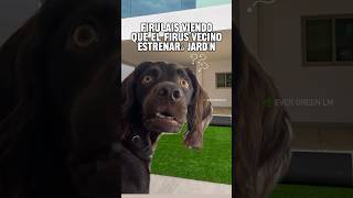 🌿🤎🐶 #youtube #viral #sinaloa #losmochis #mexico #parati #reels ##jardin #humor