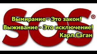 Discovery: Переломный момент: Наводнения и засухи Африки (2014)