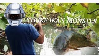 Strike ikan moster di danau terbengkalai spot idaman para pemancing