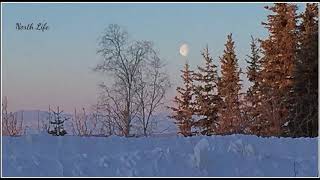 My Life In Arctic (64)-Norman Wells-NT Canada