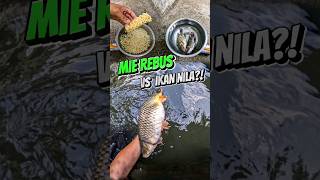 Eksperimen umpan GT Ikan Mas