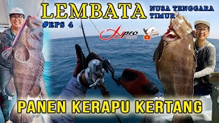 EXPLORE LEMBATA, NTT [PART 4] | POTENSI LAUT MENGGIURKAN