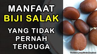 Manfaat Biji Salak | Khasiat Biji Salak Untuk Kesehatan Yang Tidak Pernah Terduga