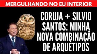 CORUJA + SILVIO SANTOS: MINHA NOVA COMBINAÇÃO DE ARQUÉTIPOS | Will Nascimentto