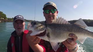 Menai Bridge Bass Fishing August 2021 Boat Fishing