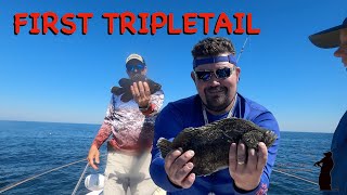 YANKEETOWN FLORDIA TRIP 3 | TRIPLETAIL FIRSTS