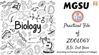 Maharaja Ganga Singh University Practical file of Zoology || B.Sc. 2nd year || Part-2 || Biology