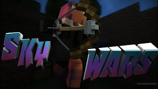 700 SUBSCRIBER SPECIAL | MONTAGE | SKYWARS