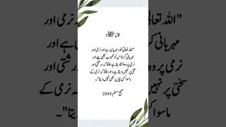 نرمی کیجیے #shorts #quotes #trendingshorts #youtubeshorts #viral