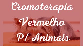 🔴 Cromoterapia Vermelha + Musicoterapia - Energia e Vitalidade Para Animais