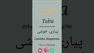 Tuba name meaning | #shorts #vidio #hindi #urdu #name #viral #status