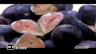 Alizee - Gourmandises (M6 Music Hits)