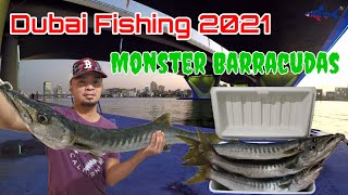 Monster Barracuda from Shore | Dubai Fishing | Shore Fishing