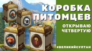 Игра Великий Султан. Открываю четвертую коробку питомцев. Кто же там ⁉️ если трое основных уже есть