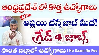 AP Collector Office Notification 2024|ap district wise jobs 2024|ap latest jobs 2024|ap contractjobs