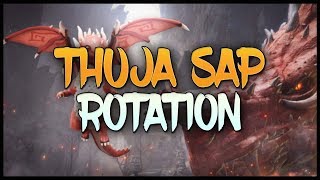 Thuja Sap Rotation 2019 | Black Desert Online